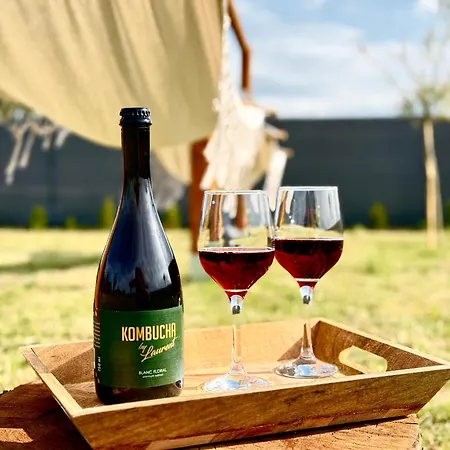 Pod Izerskim Niebem - Kameralny Z Balia, W Sasiedztwie Swieradowa-zdroju * Kamien (Lwowek Slaski, Lower Silesian)