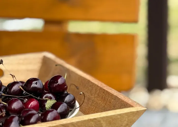 Feriehus Pod Izerskim Niebem - Kameralny Z Balia, W Sasiedztwie Swieradowa-zdroju Kamien (Lwowek Slaski, Lower Silesian)